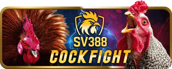 Ưu đãi chào mừng thành viên mới bl88 bet